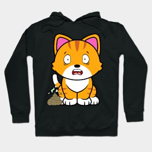 Funny orange cat smells stinky poo poo Hoodie